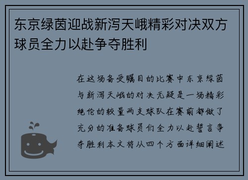 东京绿茵迎战新泻天峨精彩对决双方球员全力以赴争夺胜利